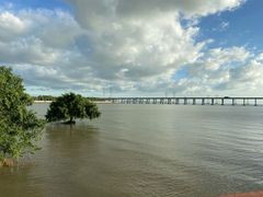 -宝安西湾红树林湿地公园