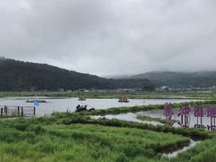 -腾冲北海湿地