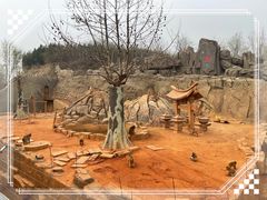 -石家庄市动物园