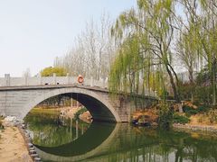 -大兴滨河森林公园