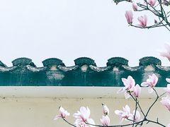 -花博汇(知音花月夜)