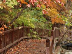 -本溪关山湖风景区