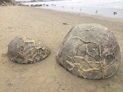 -摩拉基大圆石