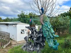 -丽泽山庄·生态怀柔菜·虹鳟鱼(红螺寺店)