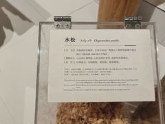 -宁波市保国寺古建筑博物馆