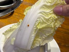 -牛必福潮汕牛肉火锅(油坊桥店)