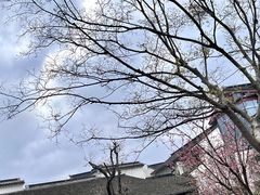 -广富林宰相府酒店·水云间