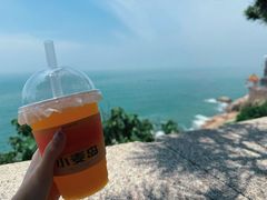-小麦岛公园