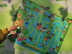 -合肥滨湖国家森林公园
