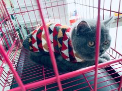 -百信宠物医院(东升街店)