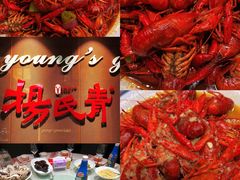 -杨氏青龙虾·羊蝎子(金盛路总店)