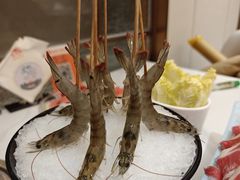 深水虾-帝皇海海鲜豆捞(桐泾商务广场店)