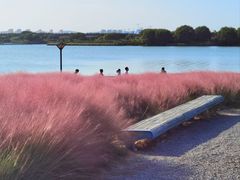 -贡湖湾湿地公园