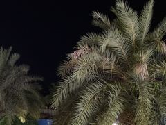 -太兴餐厅(小径湾店)