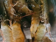 -青蓬蒸汽海鲜·深圳老字号·团建聚会(壹方城店)