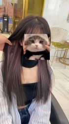 -潘多拉Hairsalon