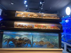 -日进一片海.生腌海鲜火锅.宵夜烧烤(三里屯总店)