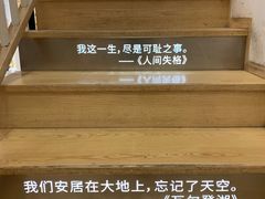 -猫的天空之城概念书店(苏州平江店)