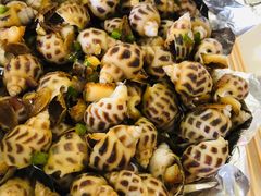 -南沙十九涌渔人码头-南门