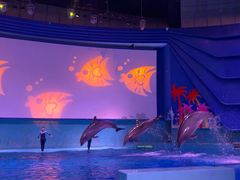 -南昌融创海世界