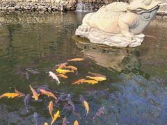 -大连天门山国家森林公园