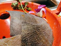 -二荆条·蜀鲜汇城市森林火锅