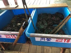 -旗鱼海番村(Orang Asli)