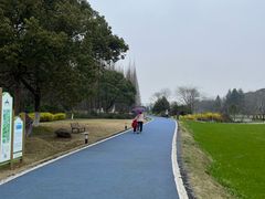 -宜兴龙背山森林公园