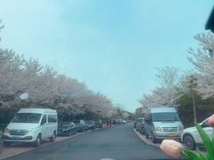 -湘湖金融镇