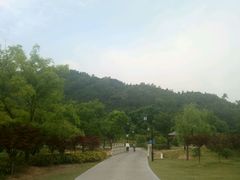 -灵岩山风景区