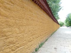 -罗布林卡
