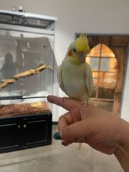 -Zoolung Zoolung动物主题公园(海信广场店)