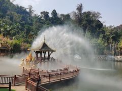 -西双版纳原始森林公园