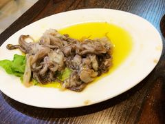 -韩风烤牛肉冷面店