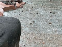 -五凤溪古镇