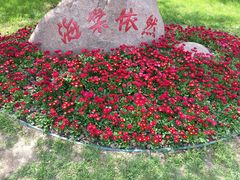 -荆川公园