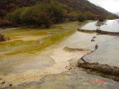 -黄龙山原始森林景区