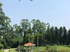 -厦门悦华酒店
