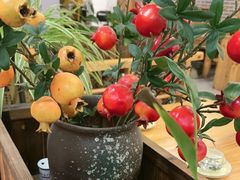 -沂蒙炒鸡(开发区店)