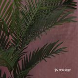 沉沦在你的“温柔”