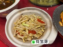 -峨嵋酒家 南北川菜 优选烤鸭(广渠路店)