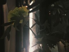 -IL Forno 意坊·意大利餐厅(花园店)