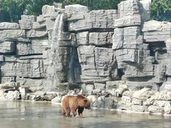 -北京野生动物园