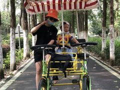 -合肥滨湖国家森林公园