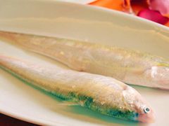 -新花城蟹粉馆(乌鲁木齐店)