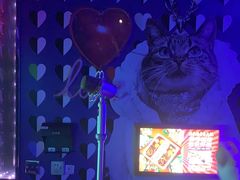 -好乐迪(张扬路八佰伴店)