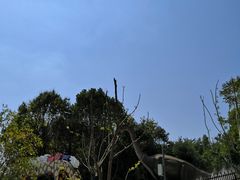 -旅宁大酒店