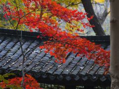 -南山风景名胜区