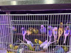 -宠爱我(南山店)