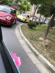 -畅步婚车(浦东店)